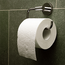 Toilet Paper
